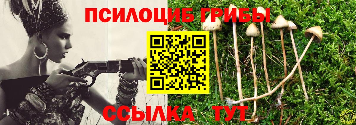 Галлюциногенные грибы прущие грибы  Вход с VPN  Сергиев Посад 